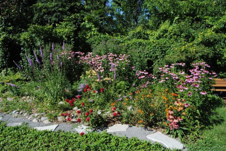 Bright purple, pink, orange and red flowers bloom with a stone path in the foreground.